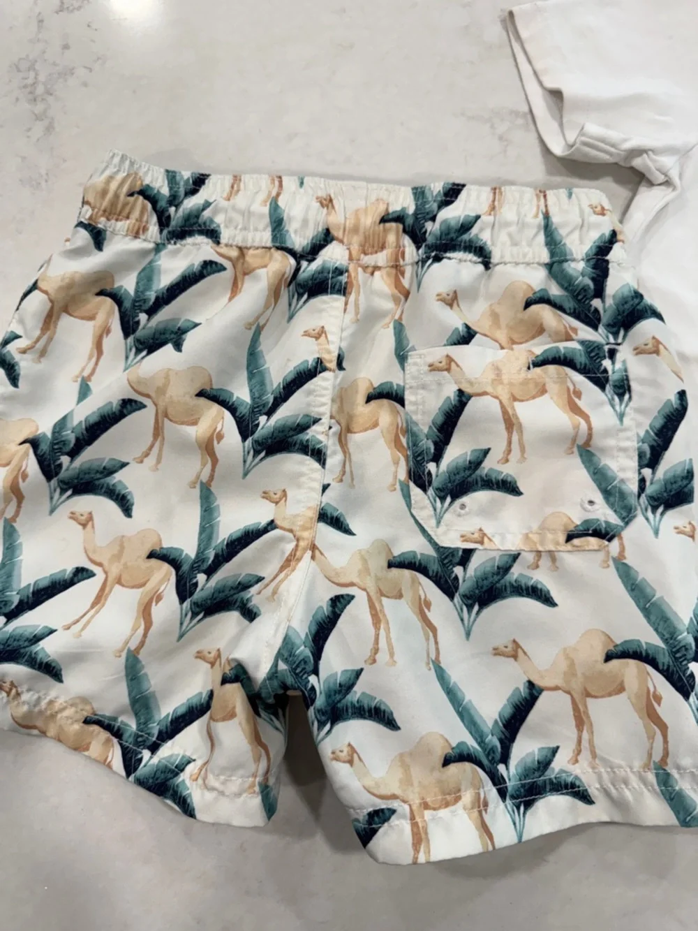 Janie and Jack Camel Swim Trunks and Cotton Shirt 5T - Picture 3 of 8